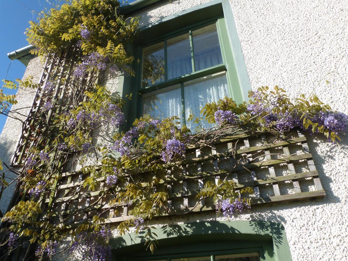 Pomona Bed and Breakfast Lowick Green Eksteriør billede